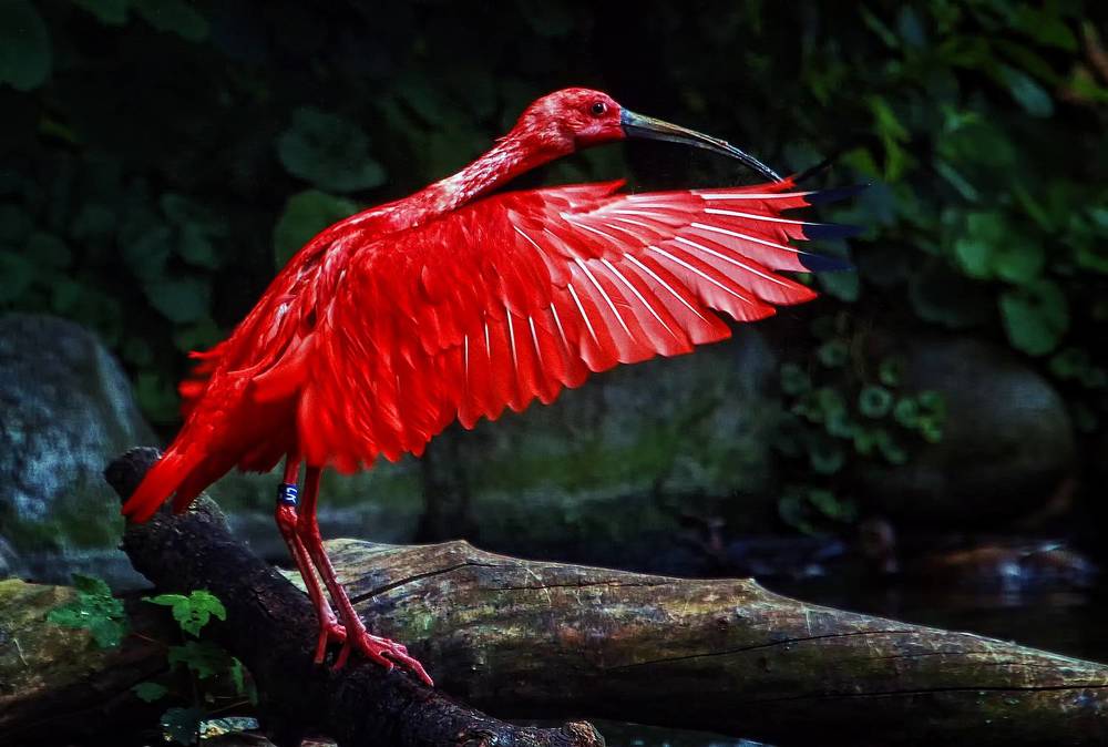 Photograph by Александр