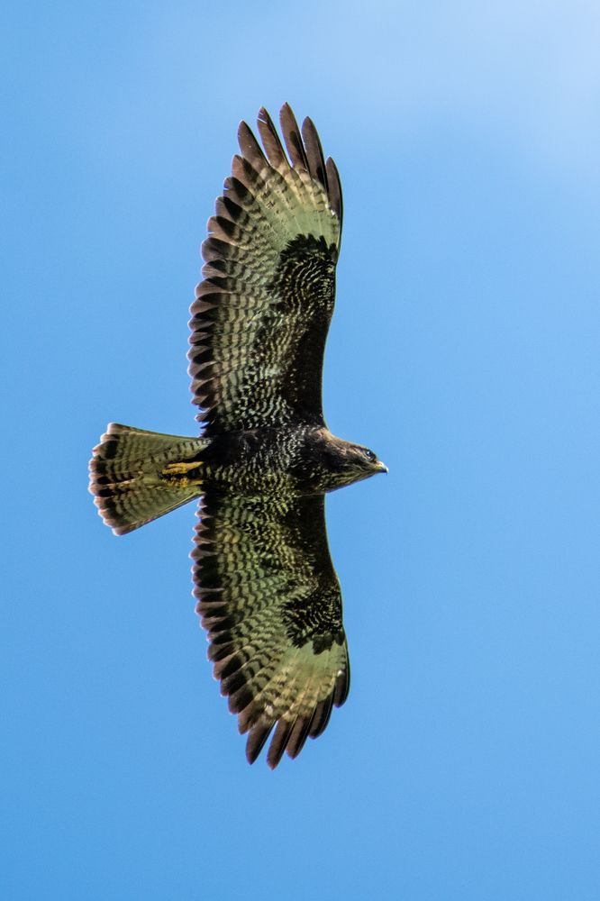 Фотография автора Katrin Lillenthal