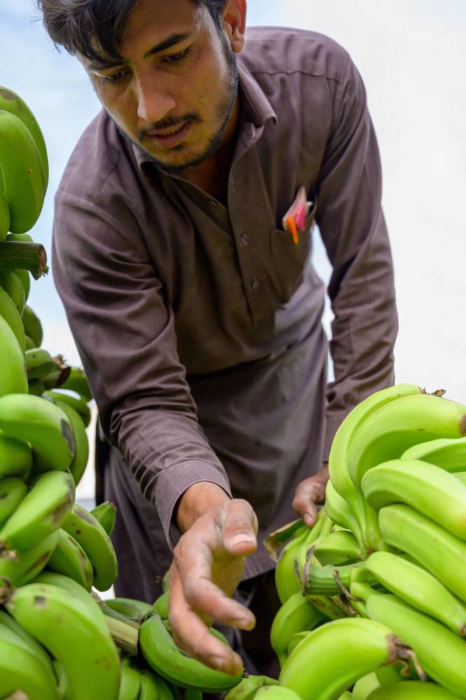 Photograph by Rino Suren