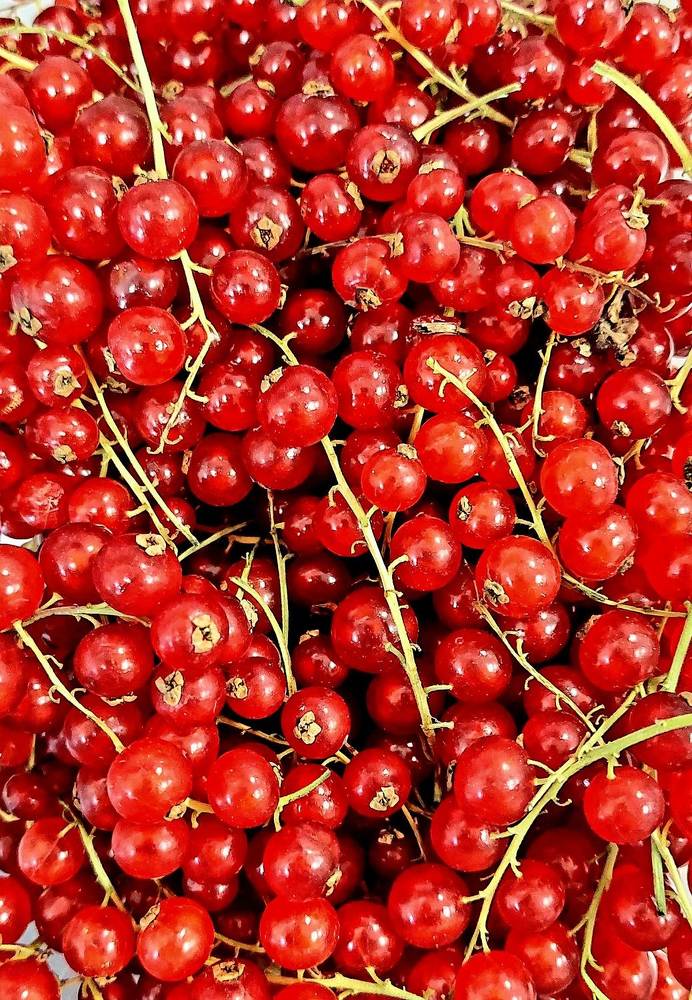 Фотография автора Виталий Петров