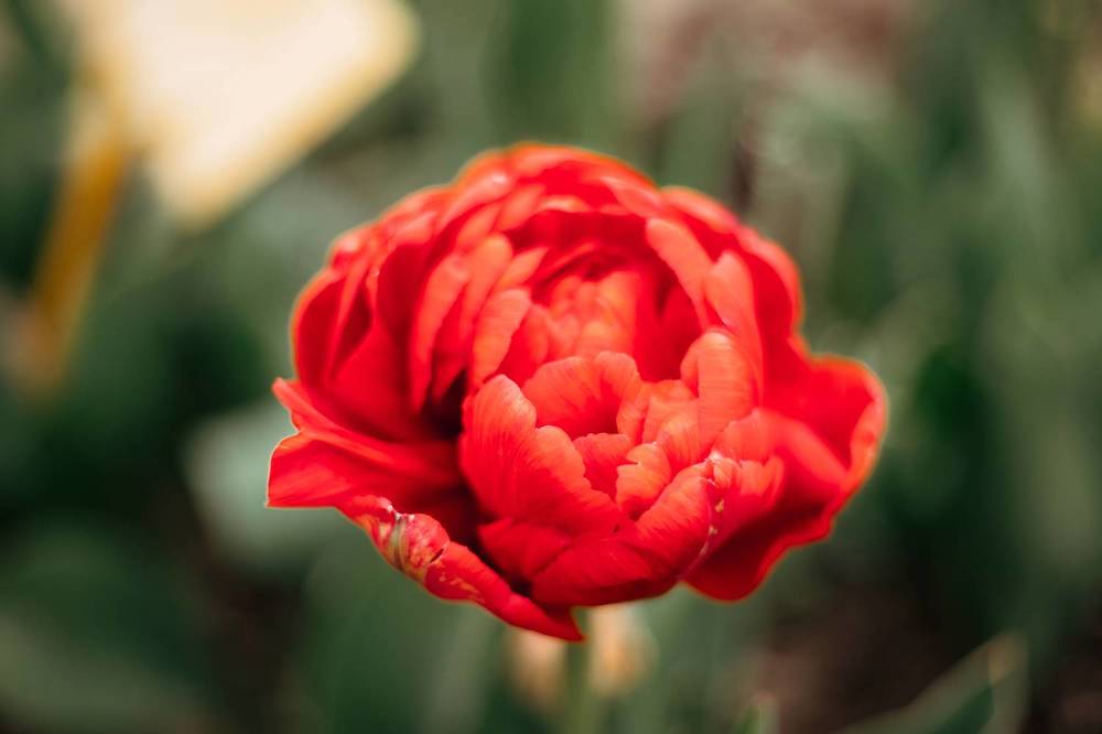 Photograph by Елена Копылова