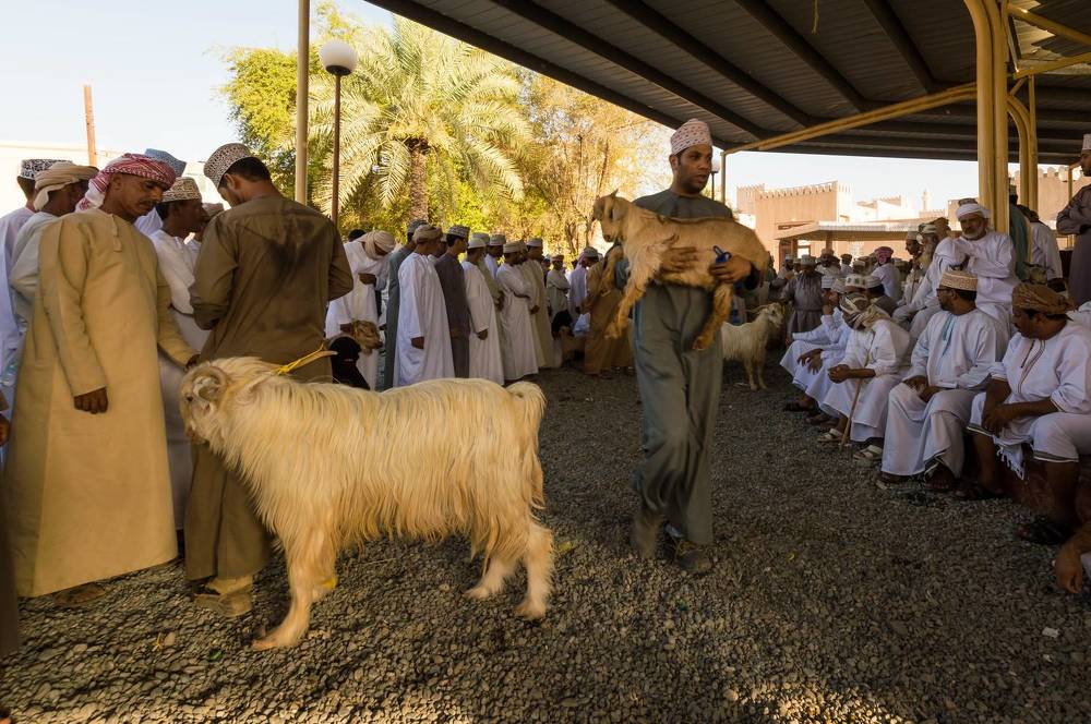 Photograph by Abdul hameed Thahir