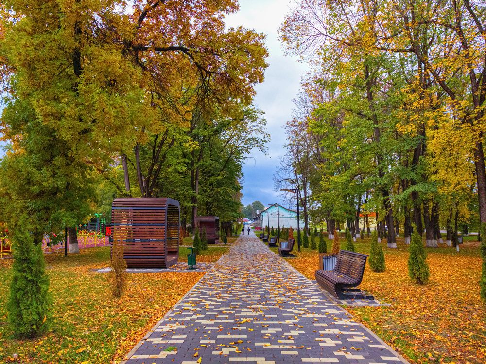 Photograph by Kate Maximenko