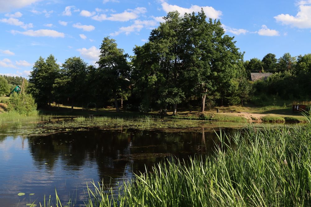 Photograph by Inna Klimaševska