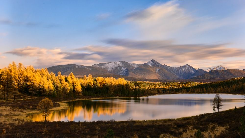 Фотография автора Boris Konovalov