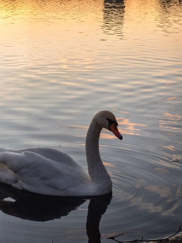 Photograph by Veranika Siratsinina