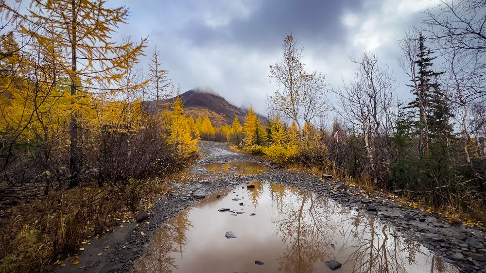 Photograph by Роман Алейников