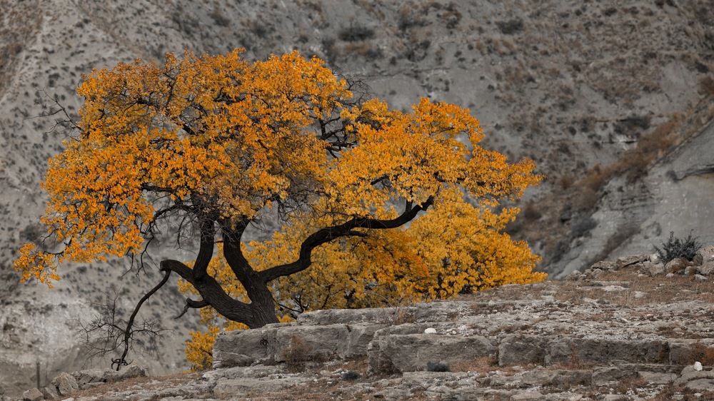 Photograph by Boris Konovalov