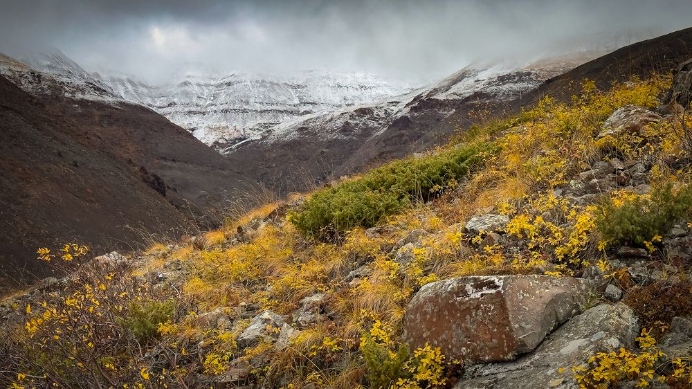 Photograph by Роман Алейников