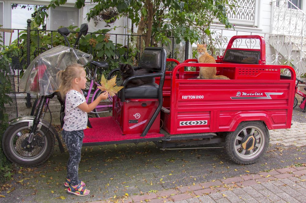 Photograph by Анастасия Северюхина