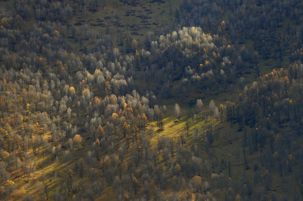 Photograph by Маринова Марина