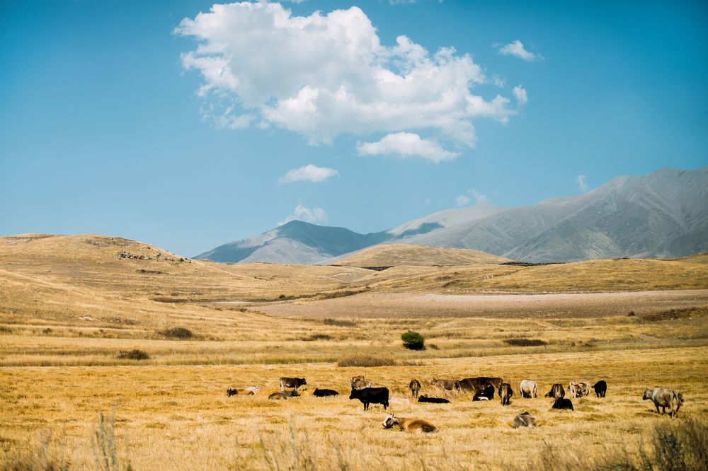 Photograph by Наталия Голованова