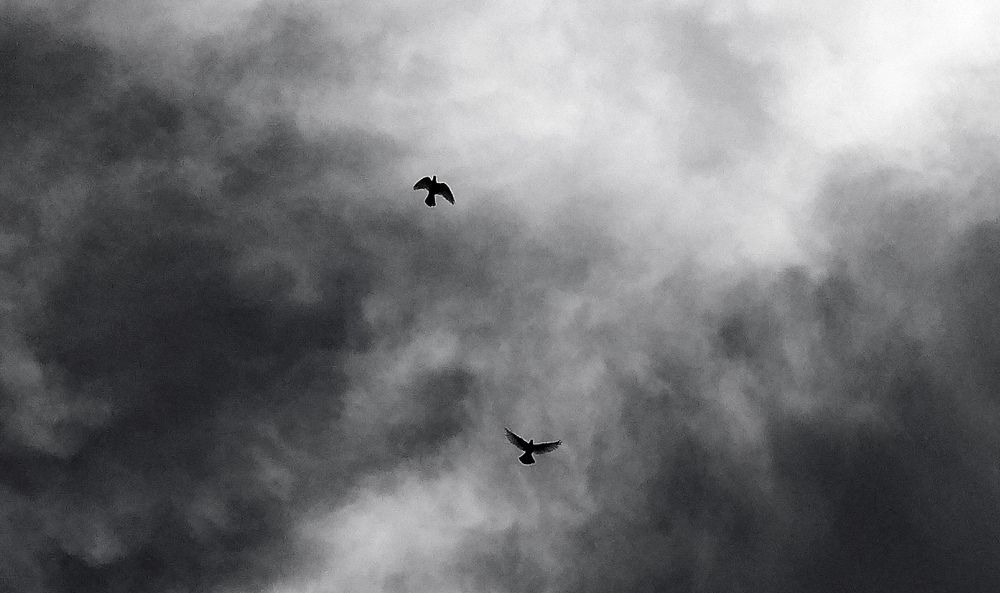 Photograph by Af Naf Shahriar