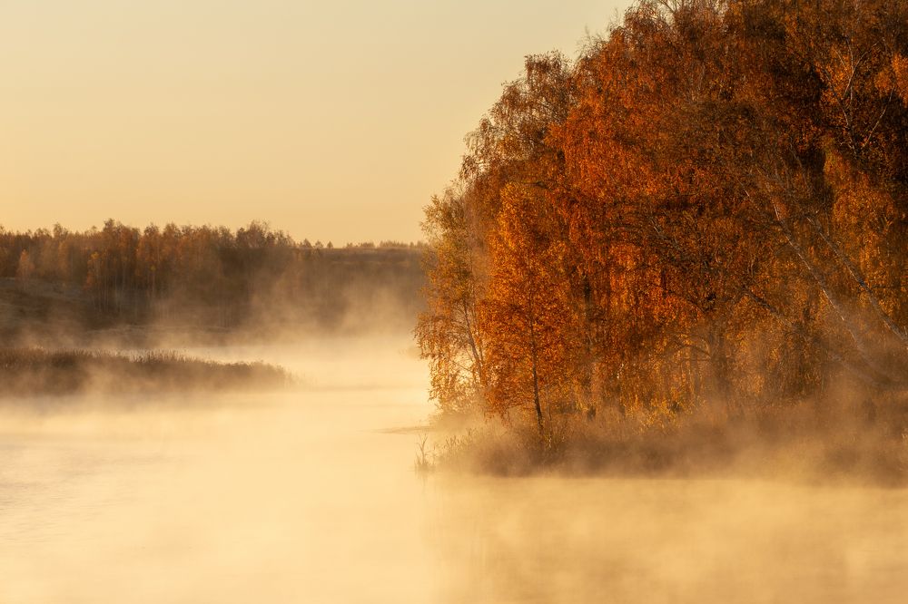 Photograph by Ирина Мошковская