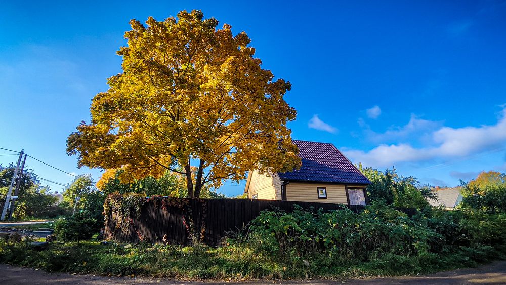 Photograph by Максим Буров