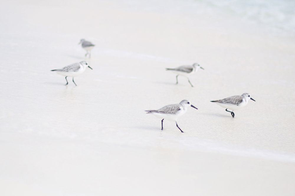 Photograph by Наталия Голованова