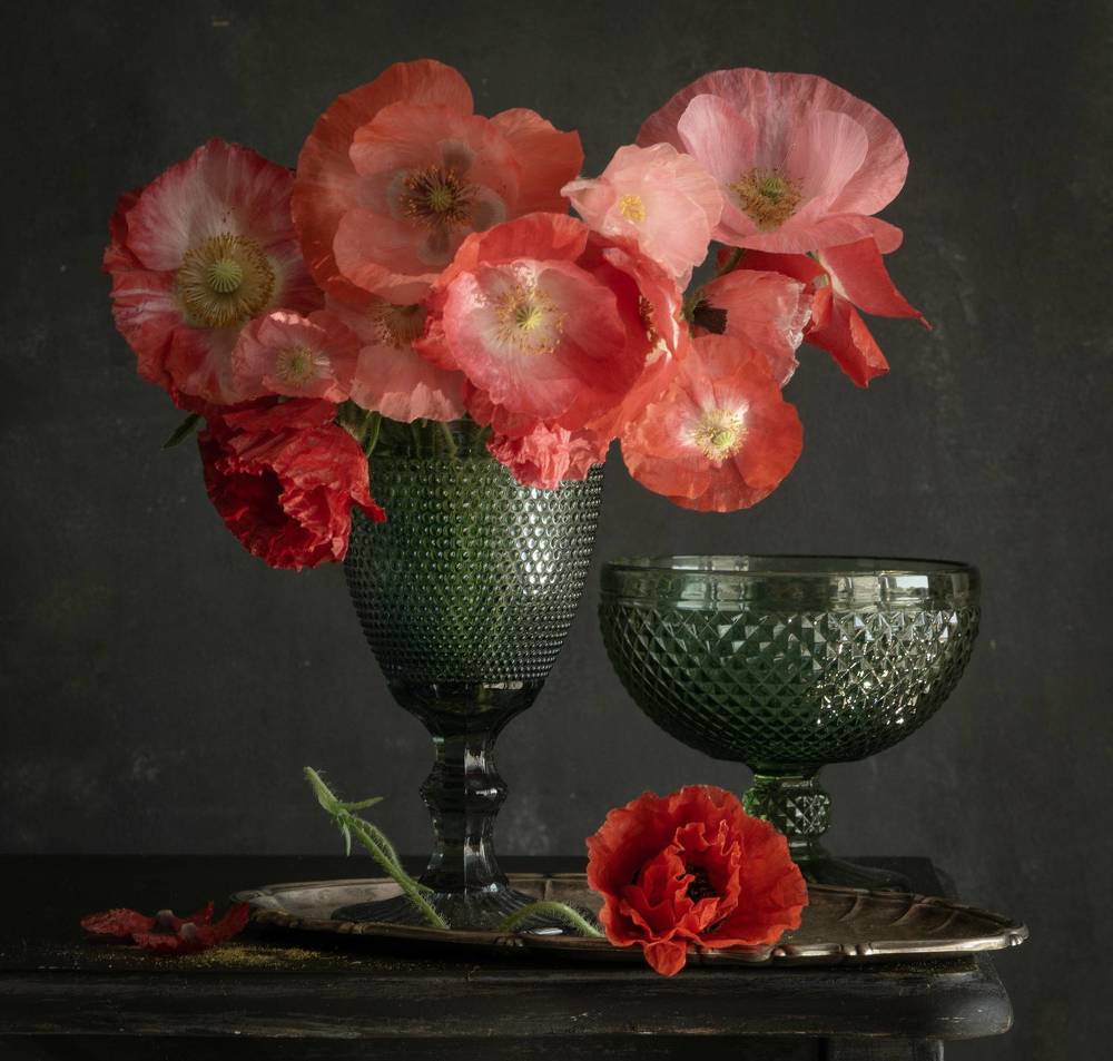 Photograph by Milla Walmus