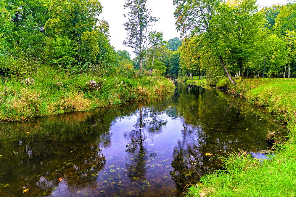 Фотография автора Леонид Соболев