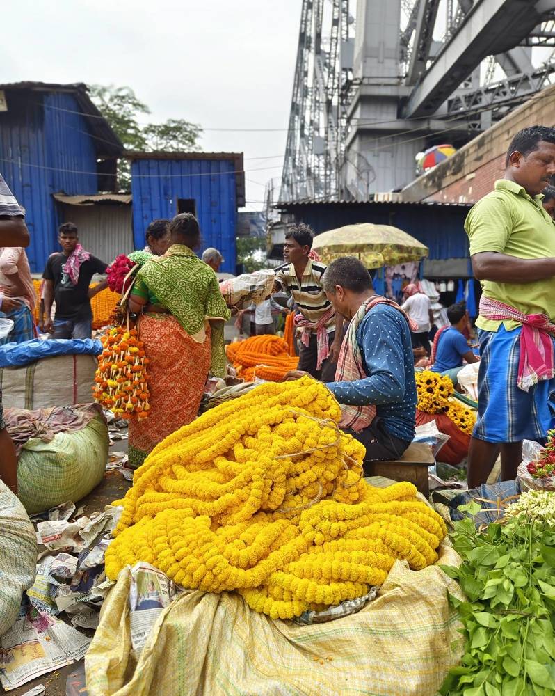 Фотография автора Pavitra Shettigar