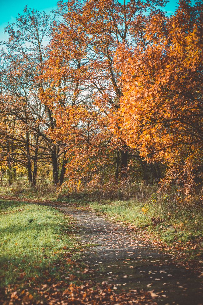 Photograph by Сергей Зимин