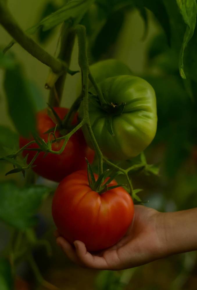 Photograph by Ирина Никульча