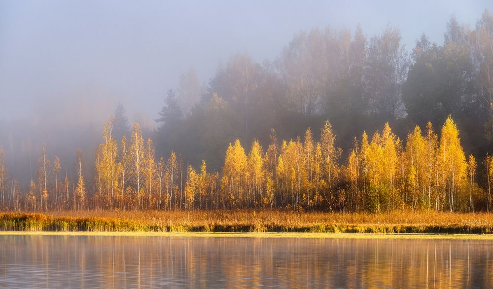 Photograph by Roman Dmitriev