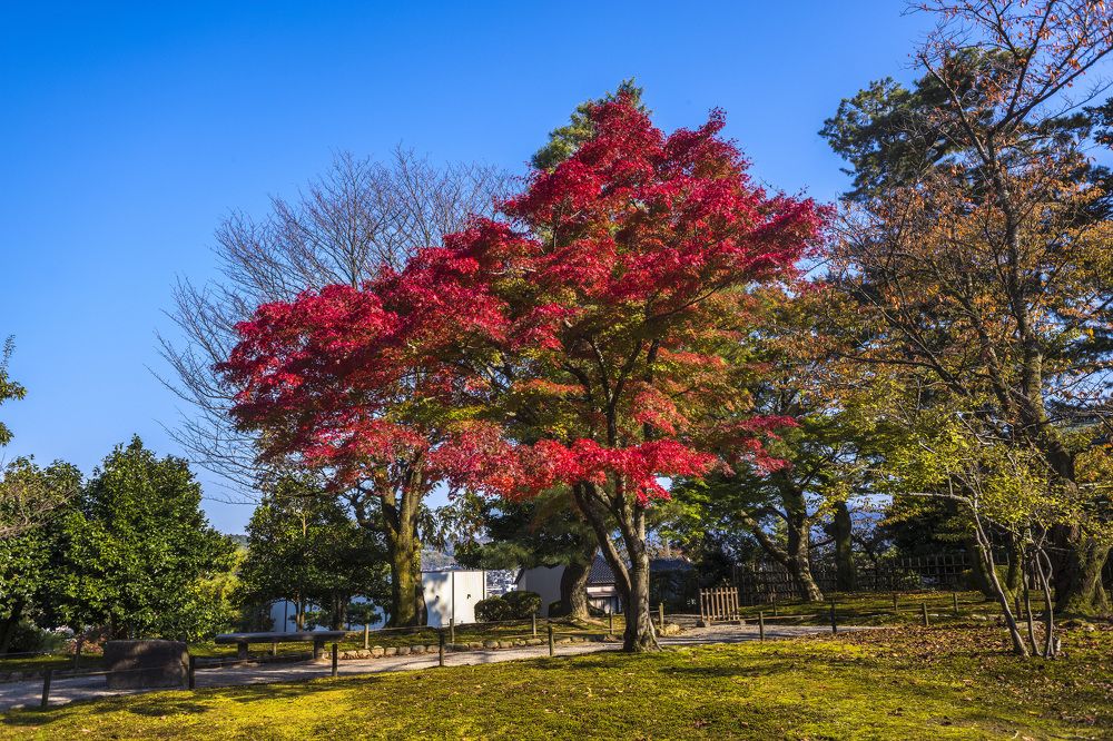 Photograph by Александр Журавлев