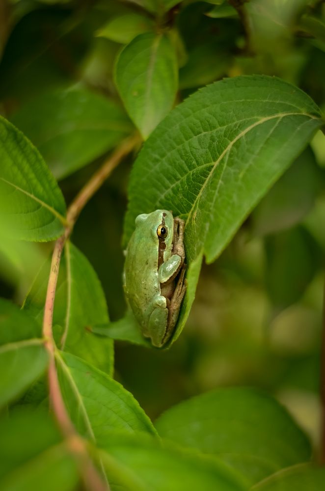 Photograph by Ирина Никульча