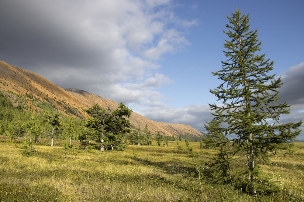 Лето на Полярном Урале