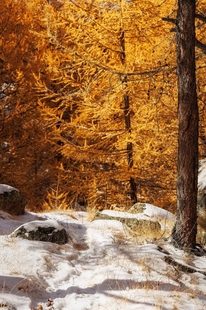 Photograph by Загруев Михаил