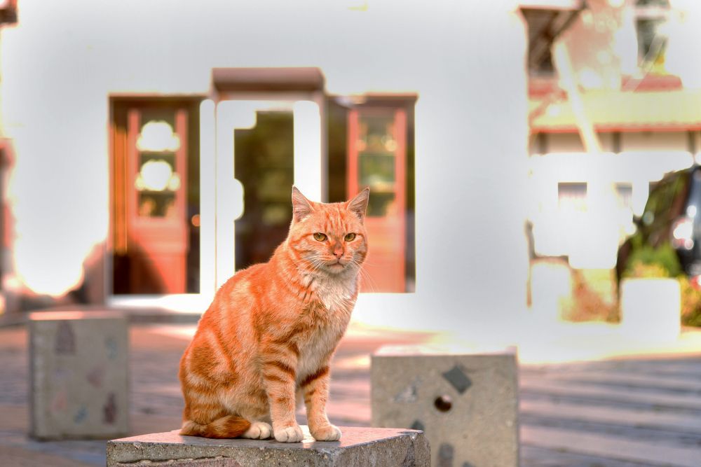 Photograph by Татьяна Кужаниязова