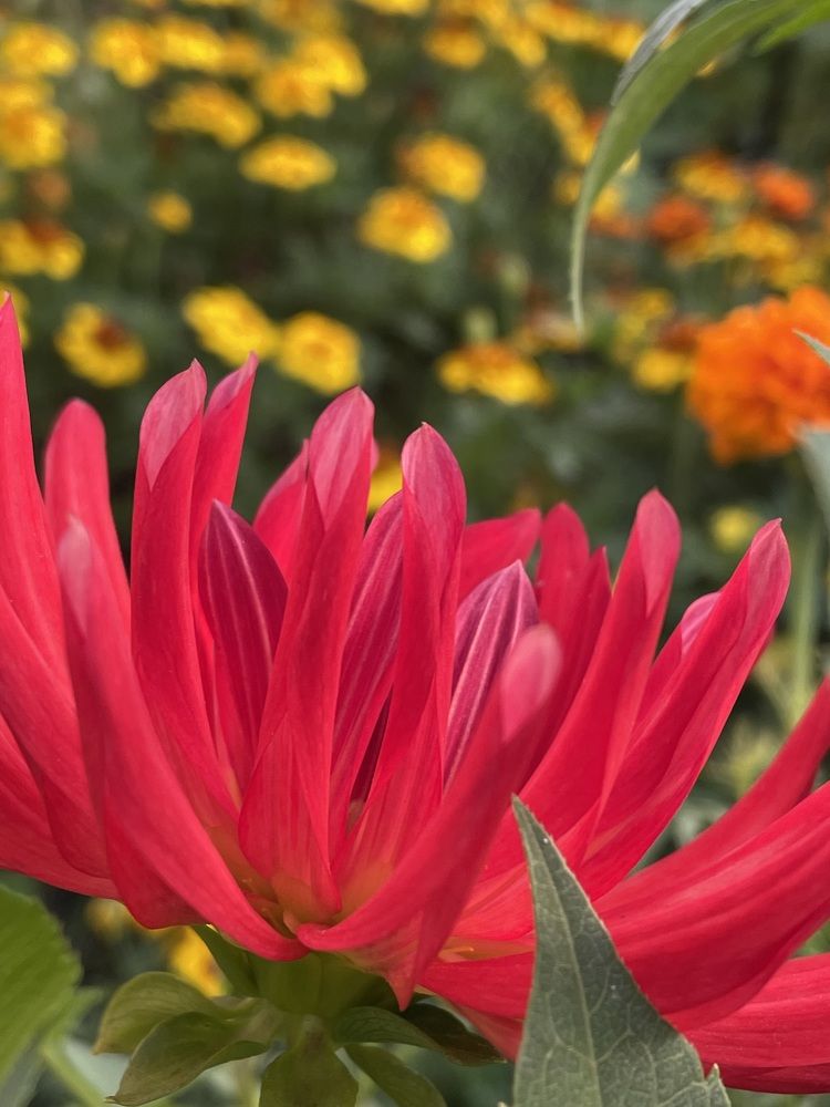 Photograph by Татьяна Раковская