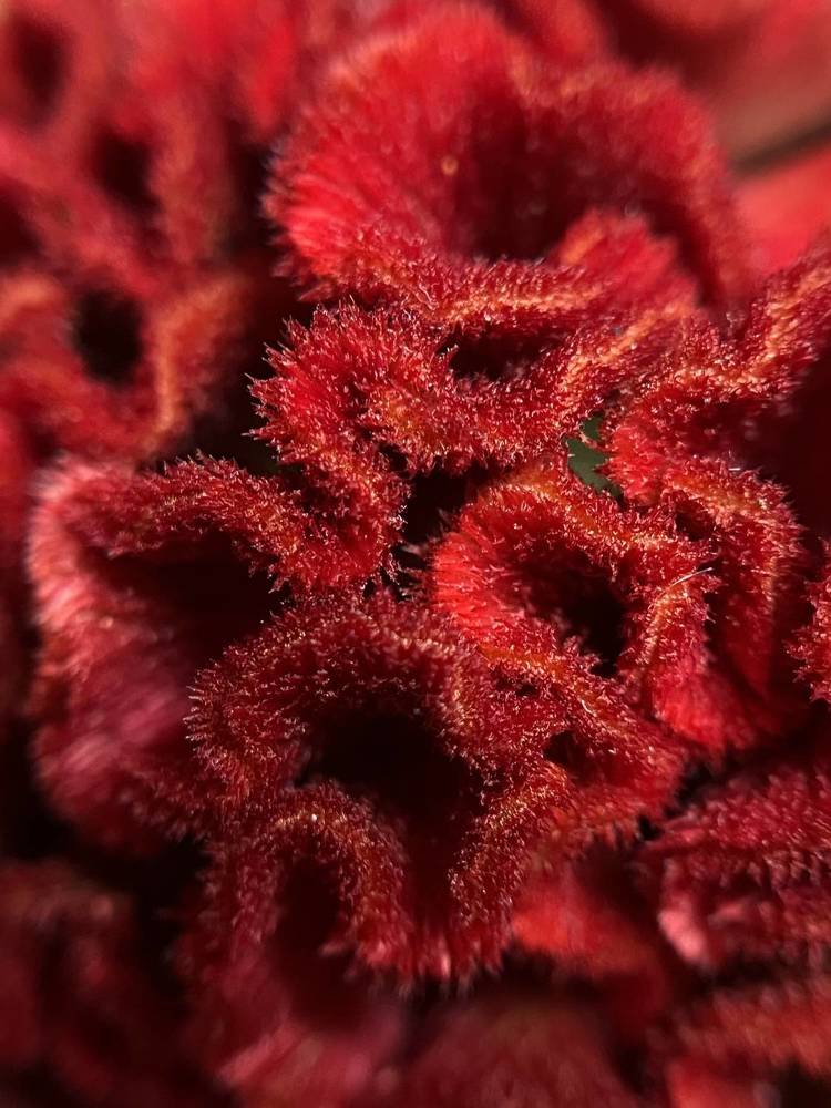 Photograph by Елена Громова