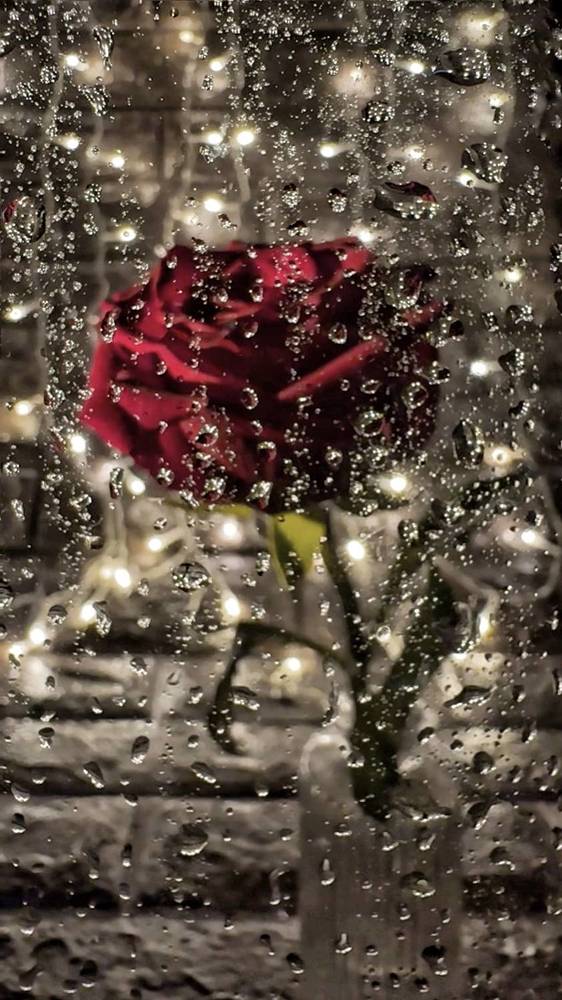 Photograph by Дина Желанова