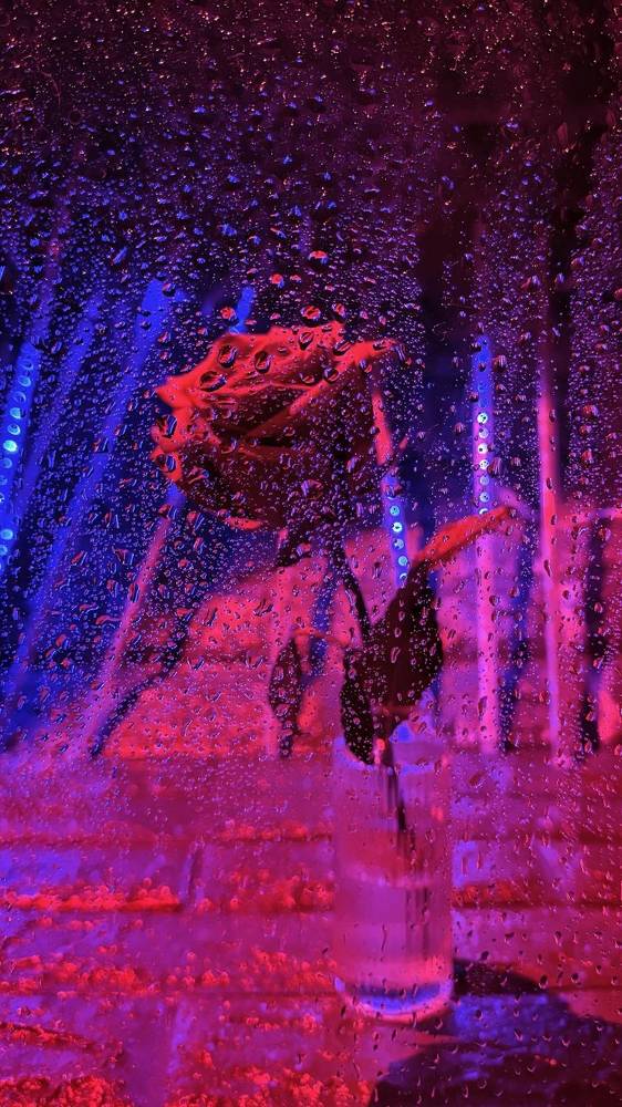 Photograph by Дина Желанова