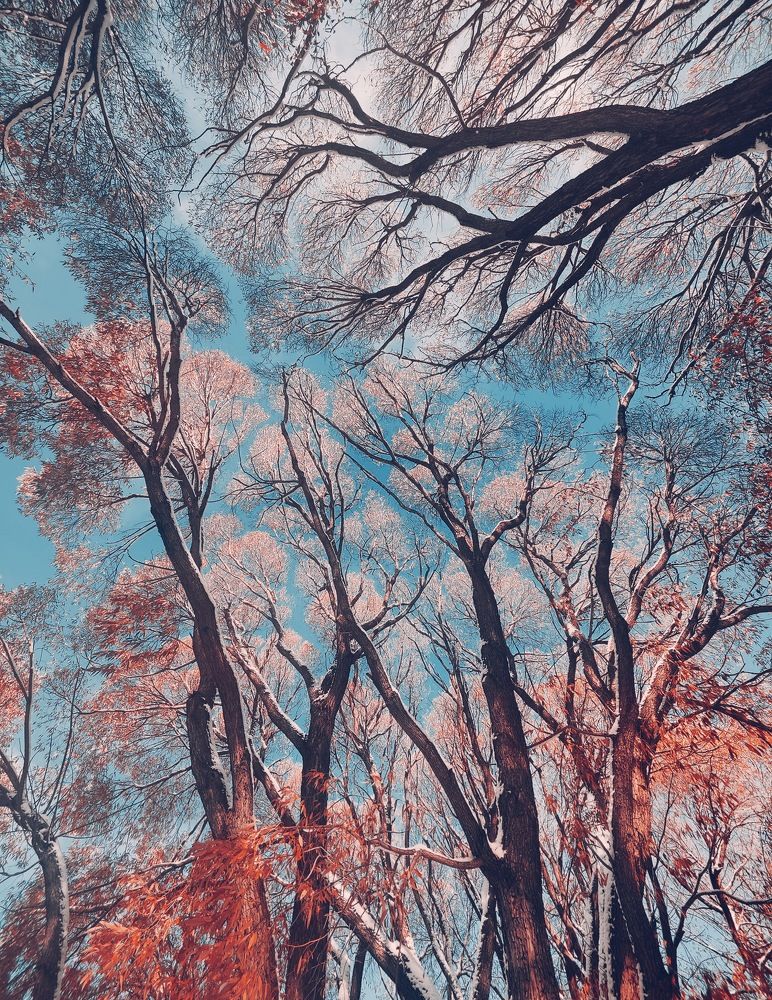 Photograph by Татьяна Гулакова