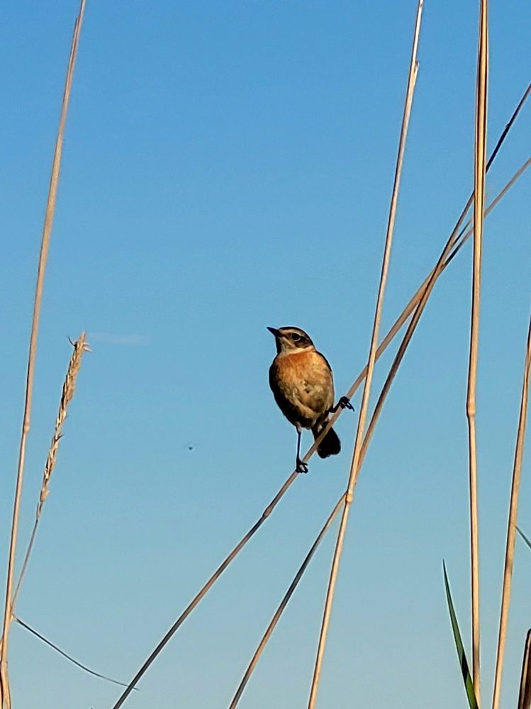 Фотография автора Казакова Людмила Ивановна