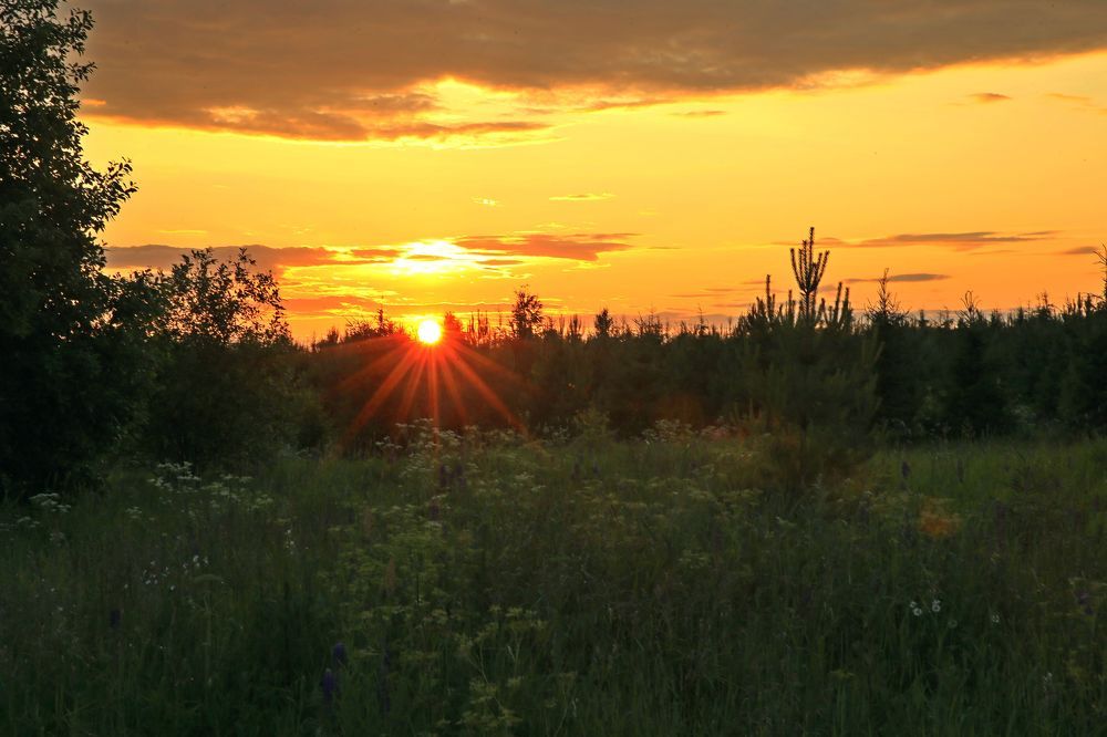 Фотография автора Юрий Кетель