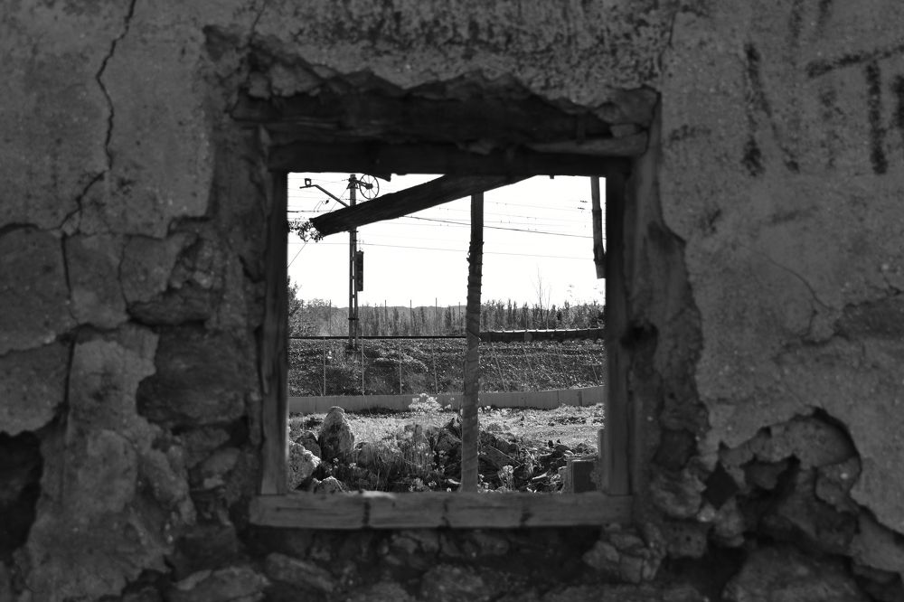 Photograph by Julio Medina