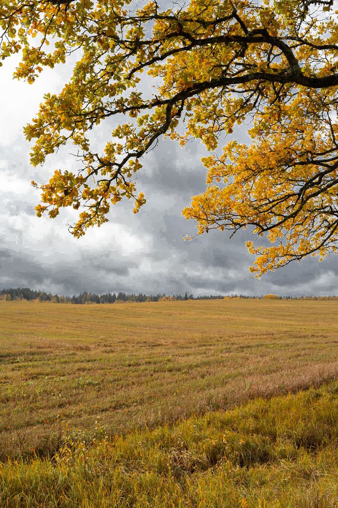 Photograph by Olga Zdančuka