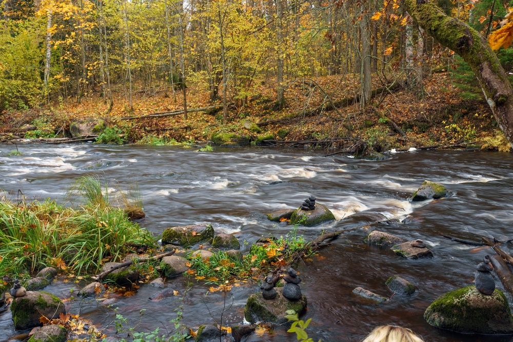 Фотография автора Andrey Voloshin