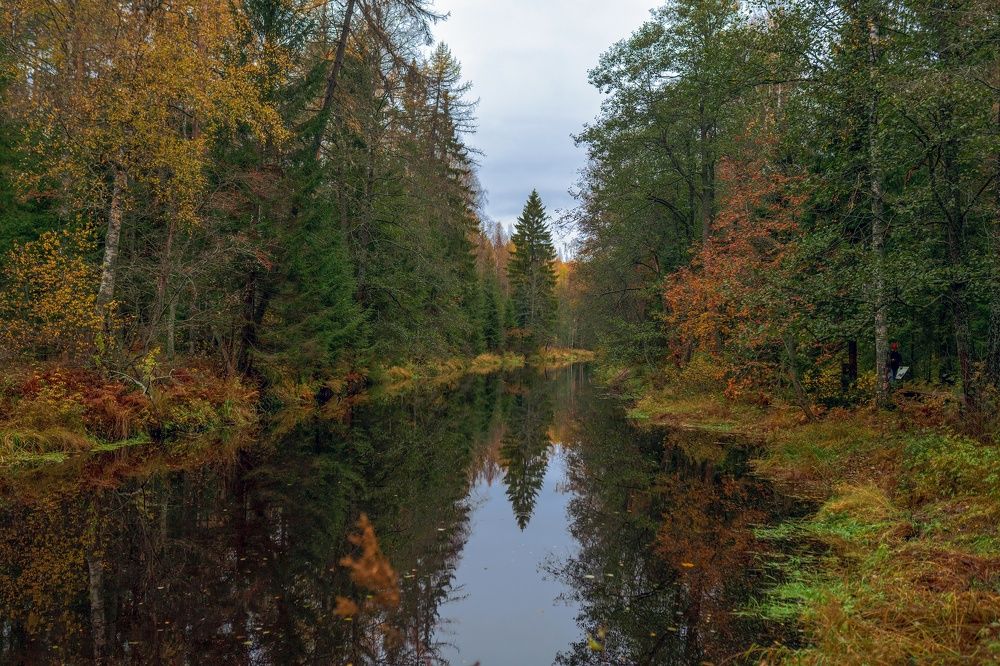 Фотография автора Andrey Voloshin