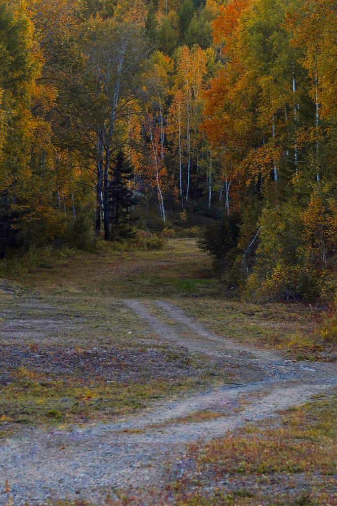 Photograph by Дарья