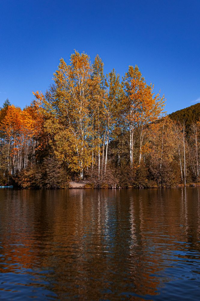 Photograph by Дарья