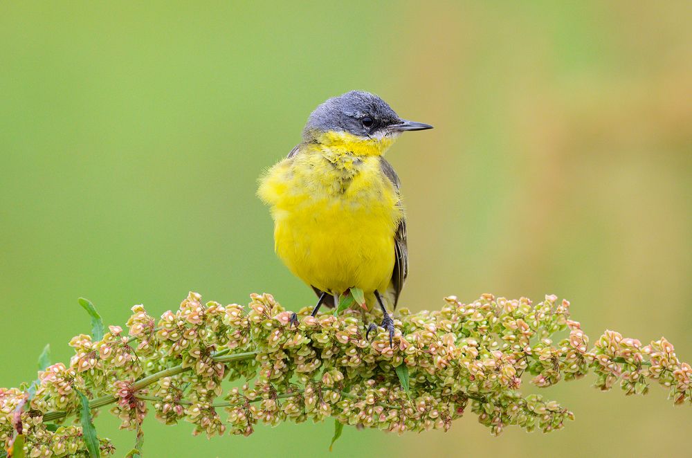 Фотография автора Александр Добыш