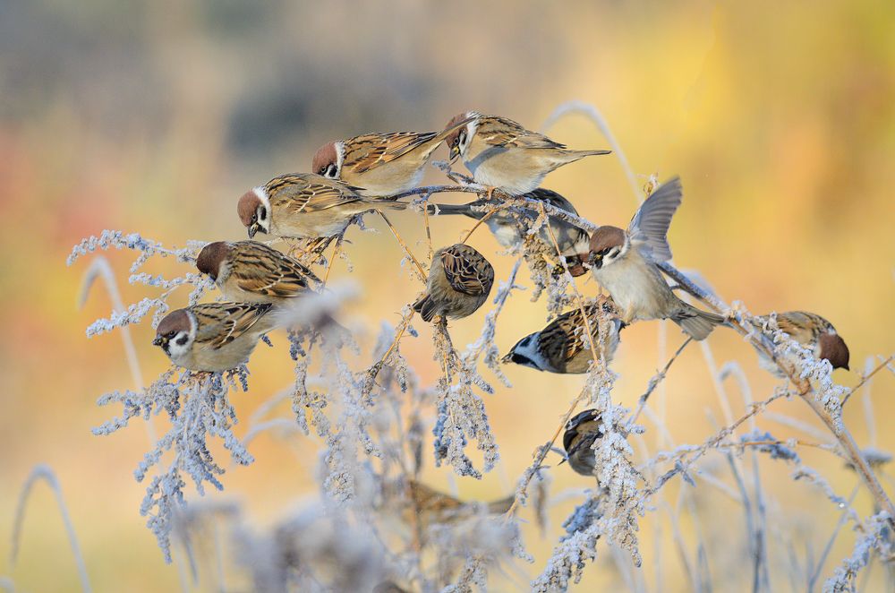 Photograph by Александр Добыш