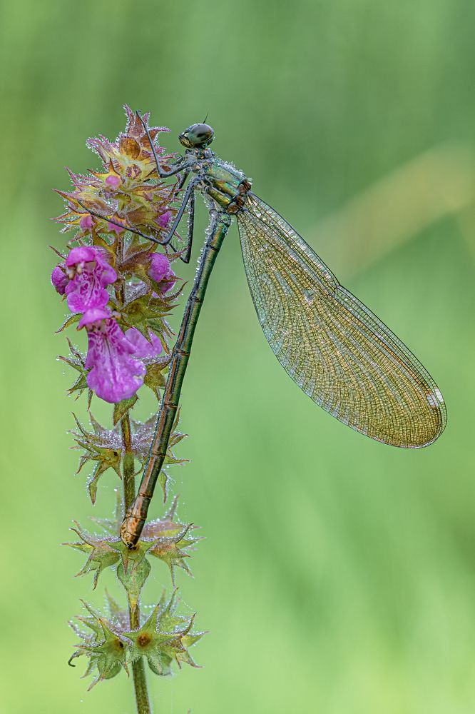 Photograph by Зайцев Роман