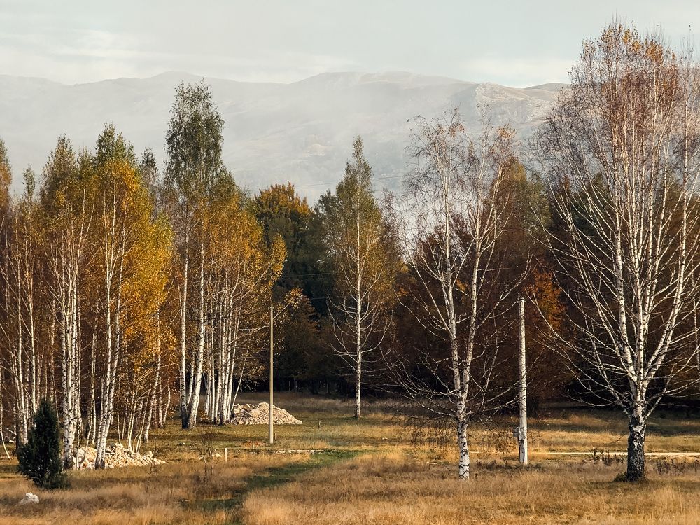 Photograph by Uliana Volegova