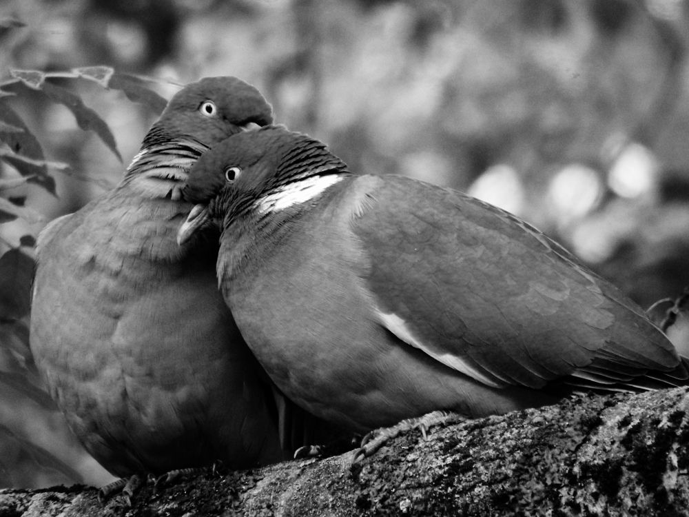 Photograph by Анастасия Толмачева