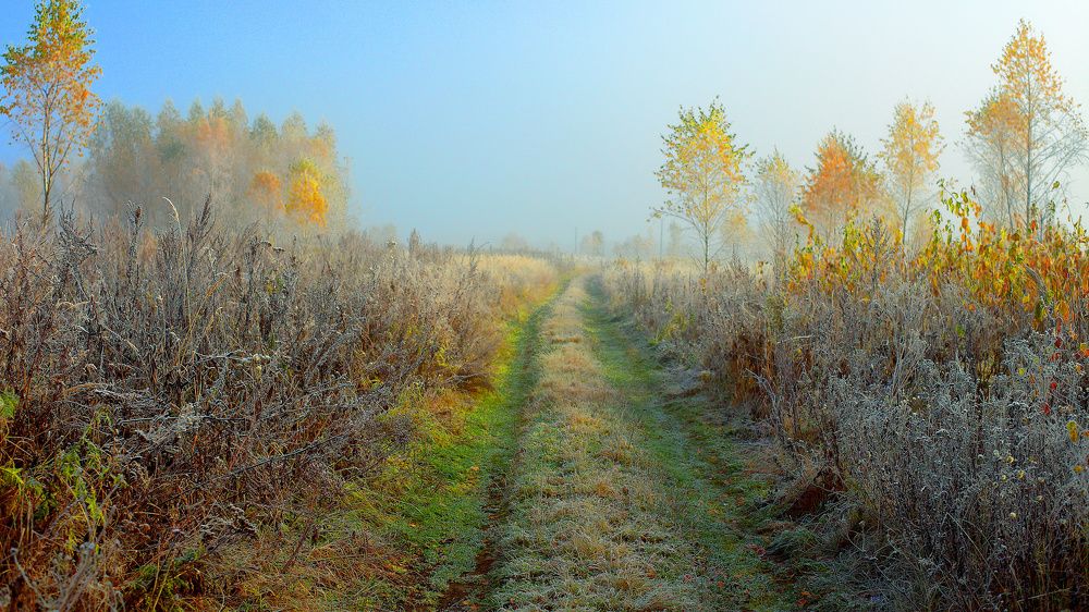 Photograph by Сергей Голов